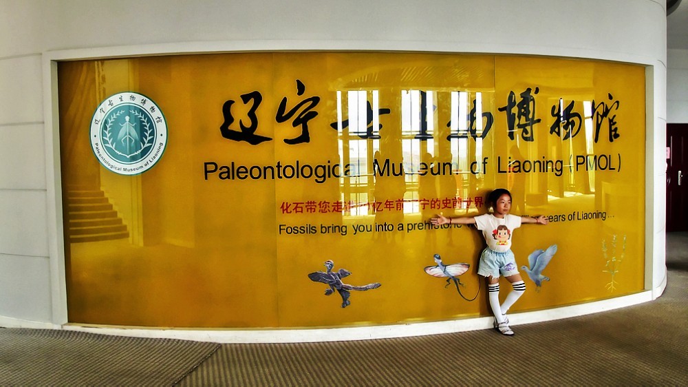美色辽宁——游览古生物博物馆（沈阳师范大学）