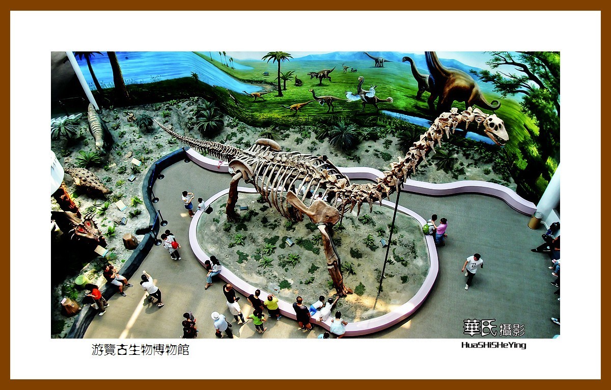 美色辽宁——游览古生物博物馆（沈阳师范大学）
