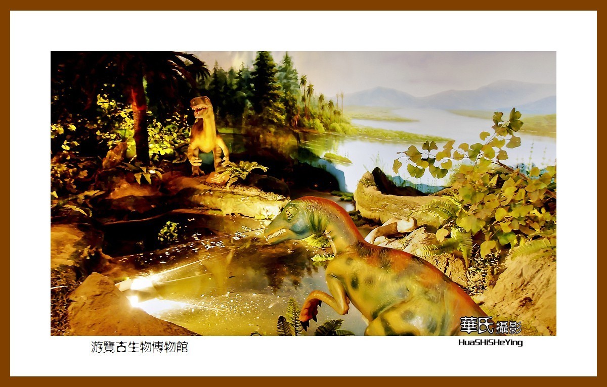 美色辽宁——游览古生物博物馆（沈阳师范大学）