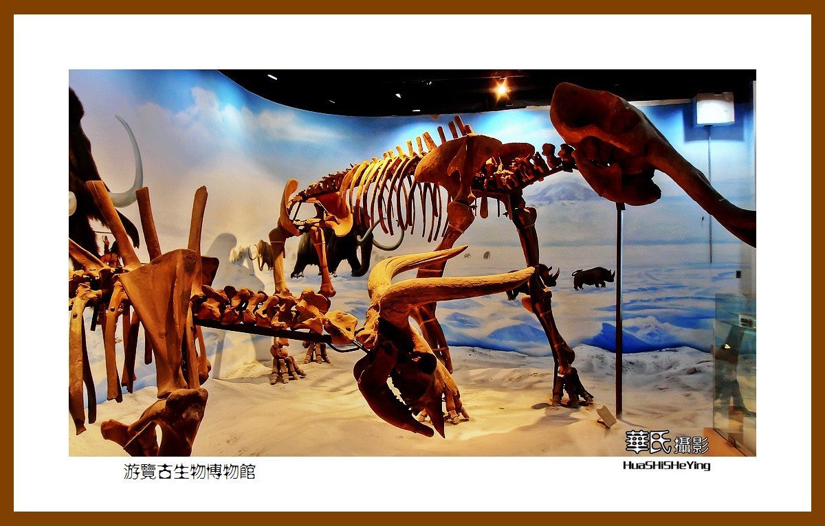 美色辽宁——游览古生物博物馆（沈阳师范大学）