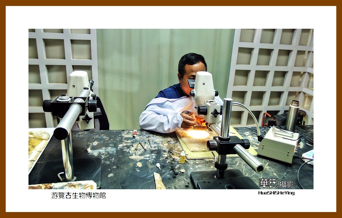 美色辽宁——游览古生物博物馆（沈阳师范大学）