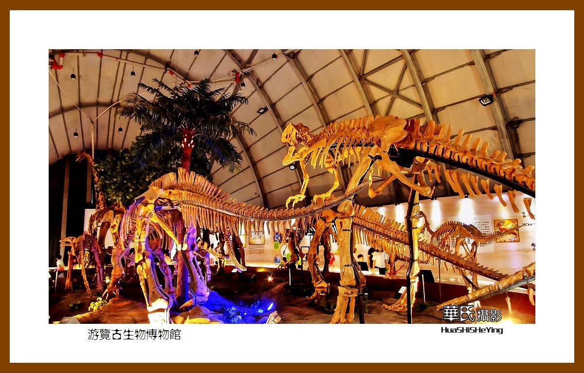 美色辽宁——游览古生物博物馆（沈阳师范大学）