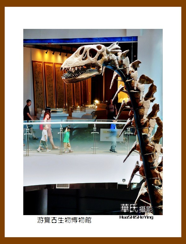 美色辽宁——游览古生物博物馆（沈阳师范大学）