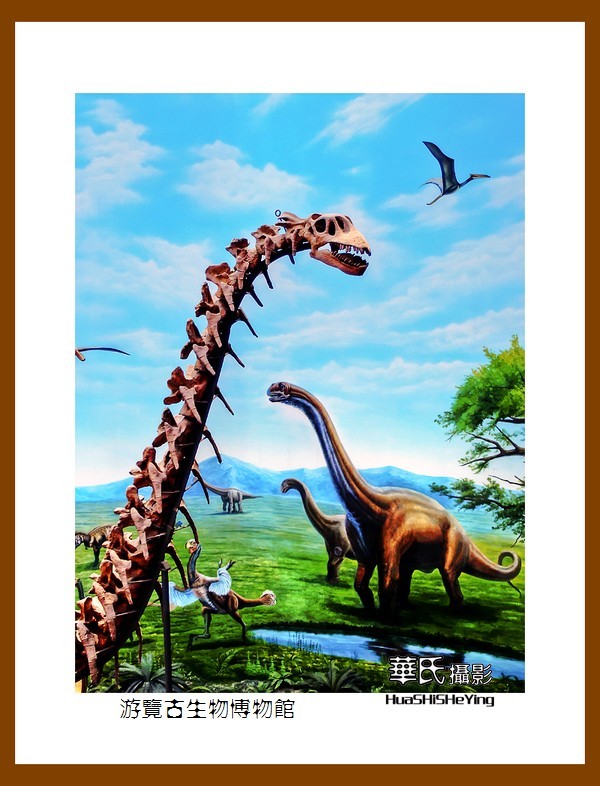 美色辽宁——游览古生物博物馆（沈阳师范大学）