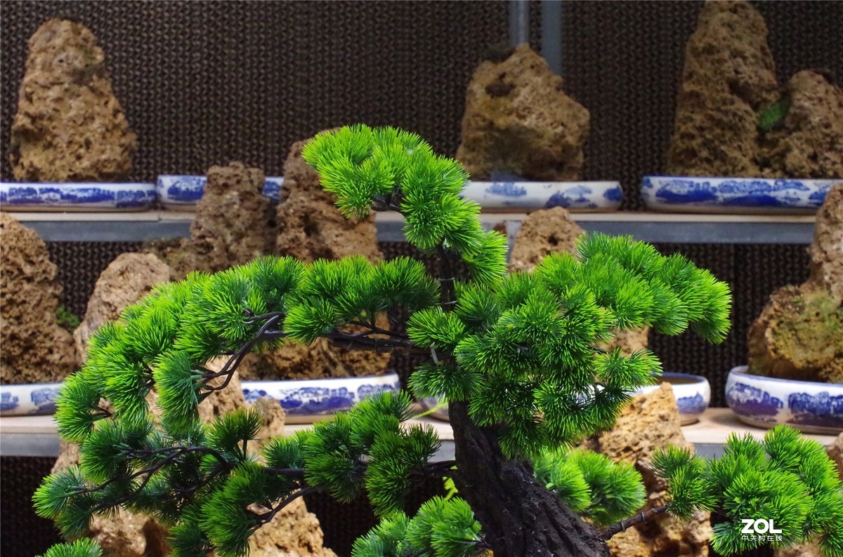 K50+适马50 1.4随拍