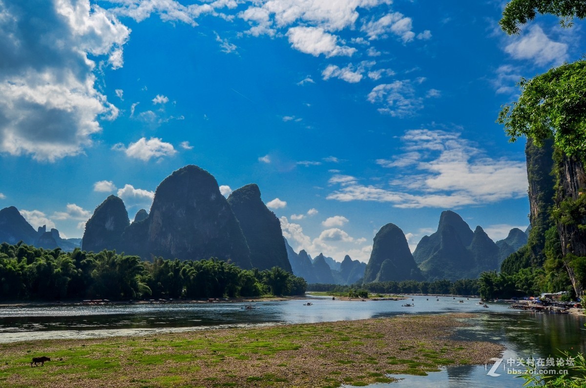 #版主坐堂#小五星空(中国)七月精品荟萃（上）风景  鸟篇