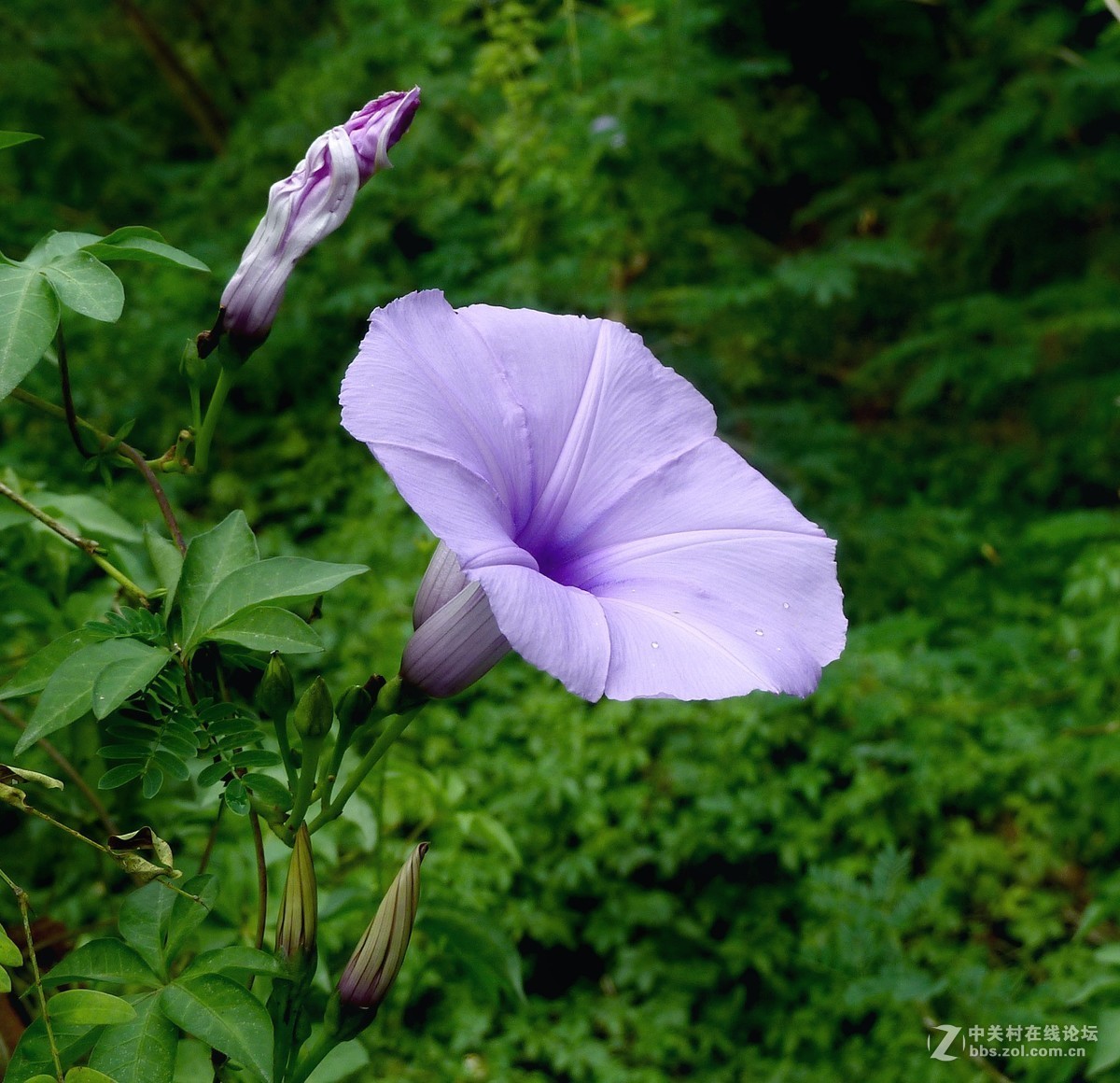 zs7退役专集七（缠绵）