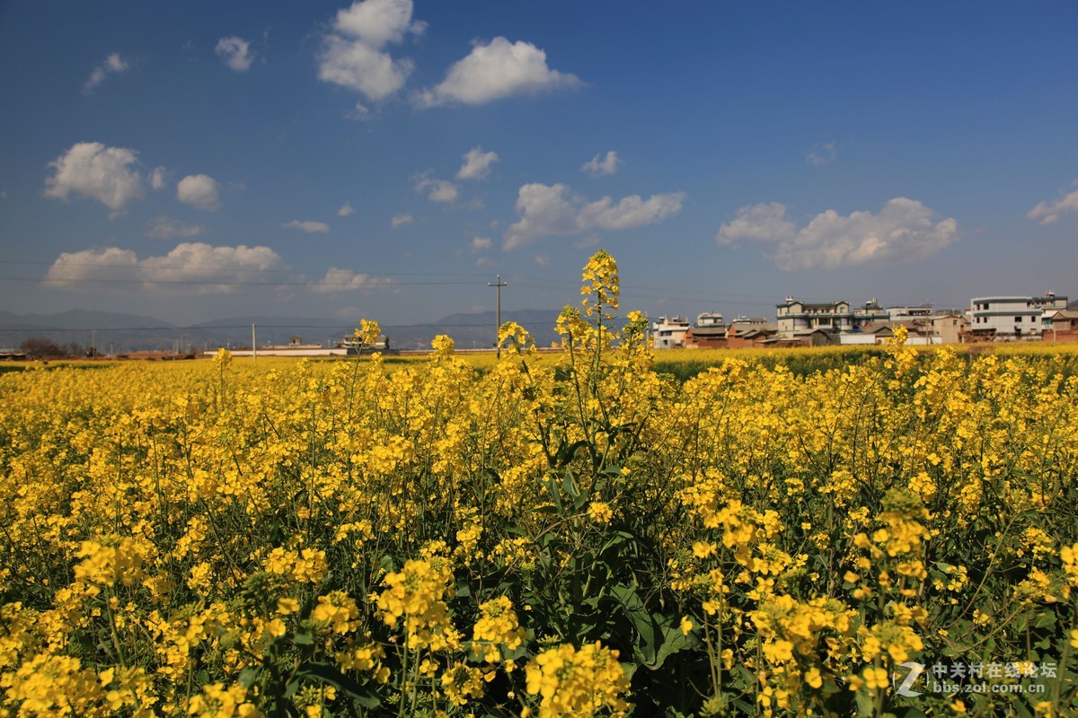 《爱上旅行》-----自驾行摄习作（一）