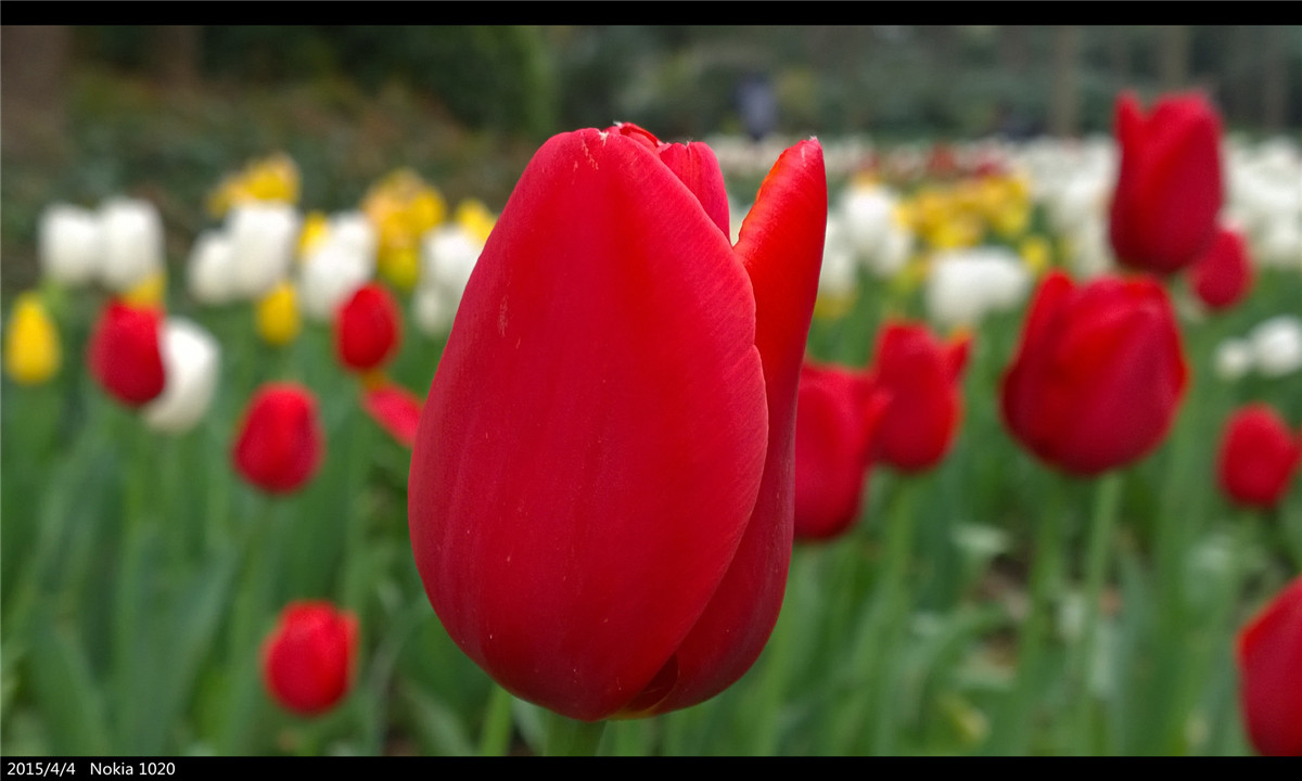 诺基亚1020   实力的体现