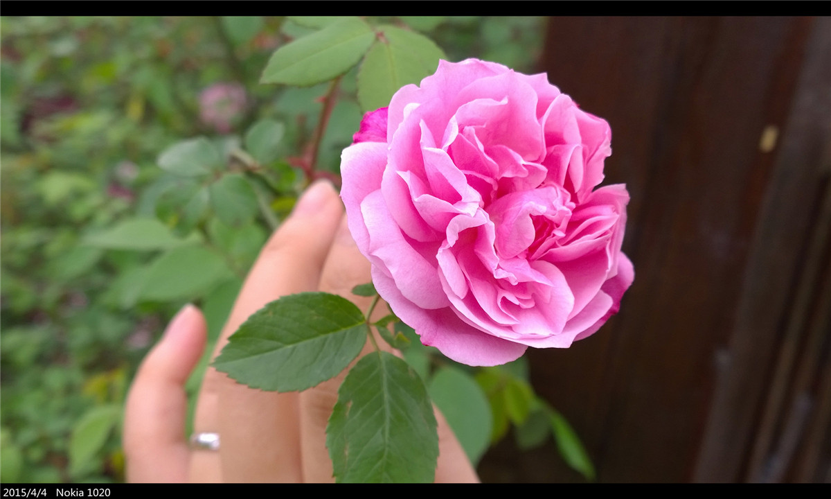 诺基亚1020   实力的体现