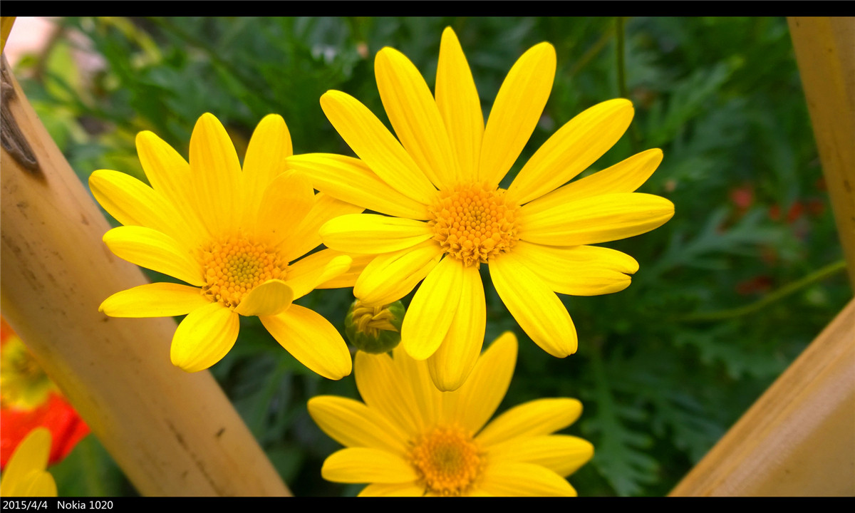 诺基亚1020   实力的体现