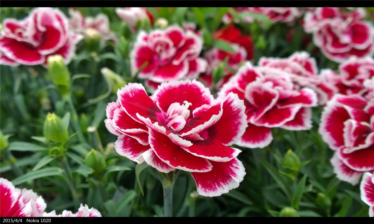 诺基亚1020   实力的体现