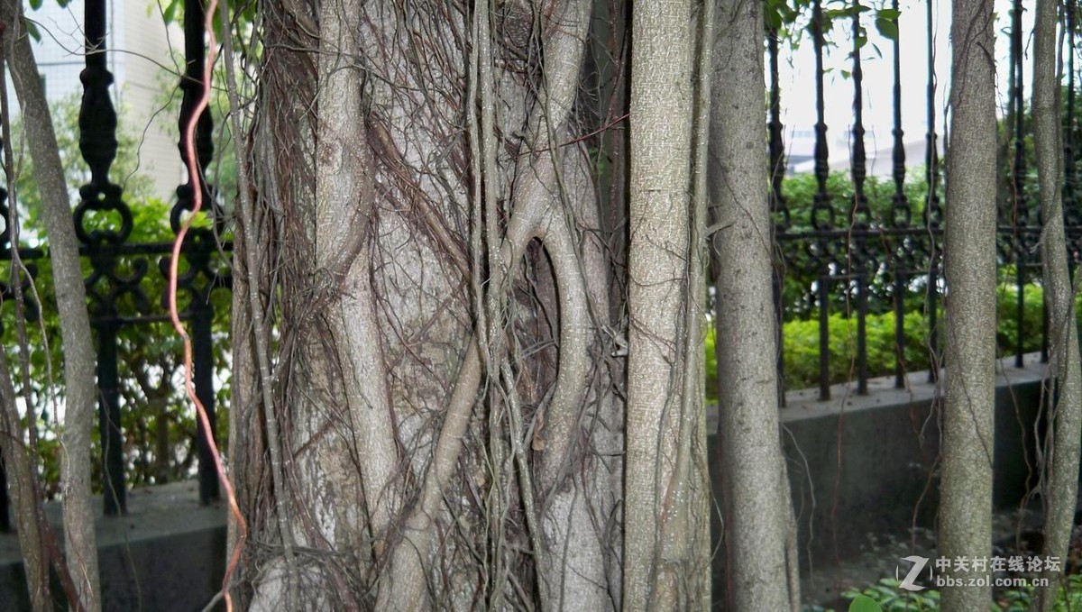 肌理与质感