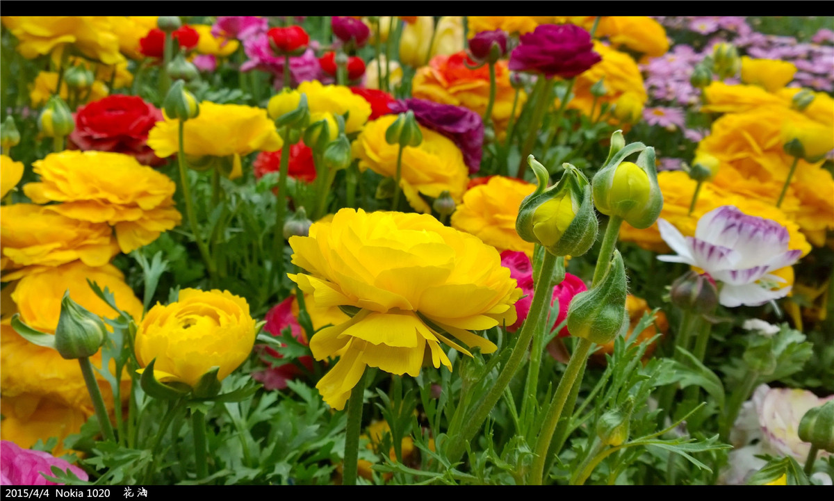 诺基亚1020   实力的体现