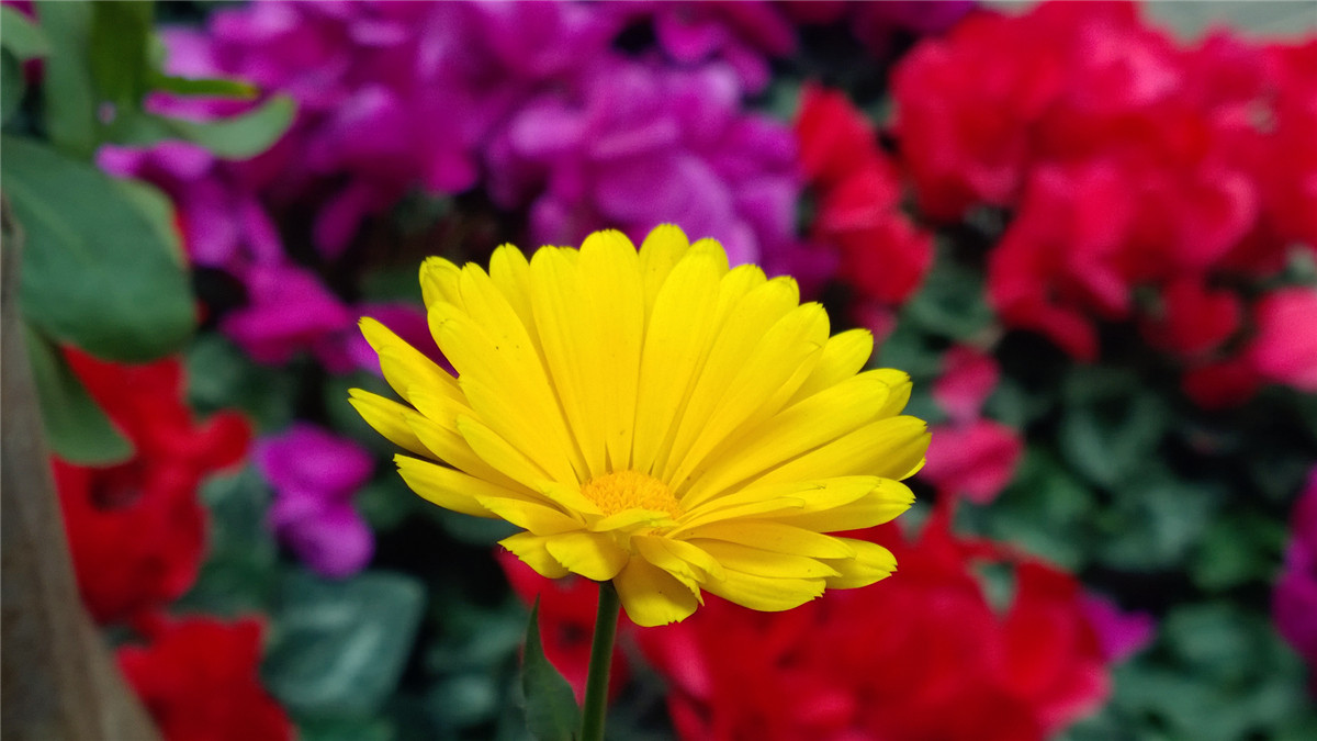 诺基亚1020   实力的体现