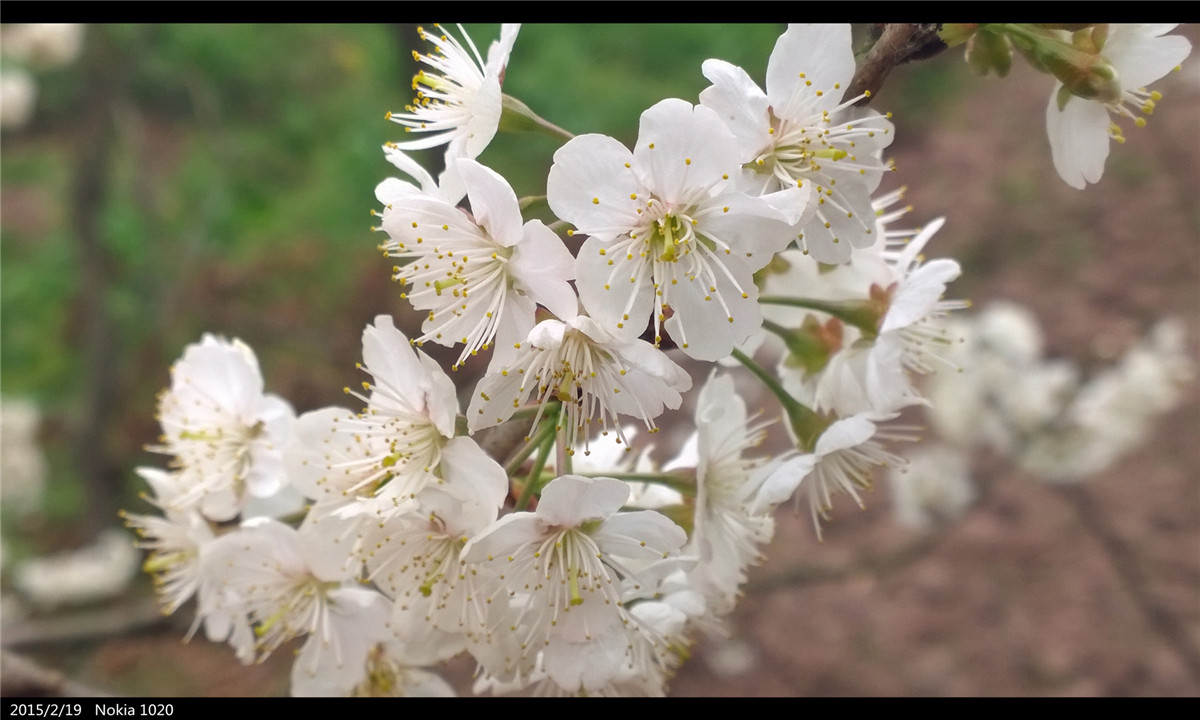 诺基亚1020   实力的体现