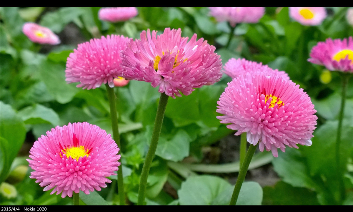 诺基亚1020   实力的体现