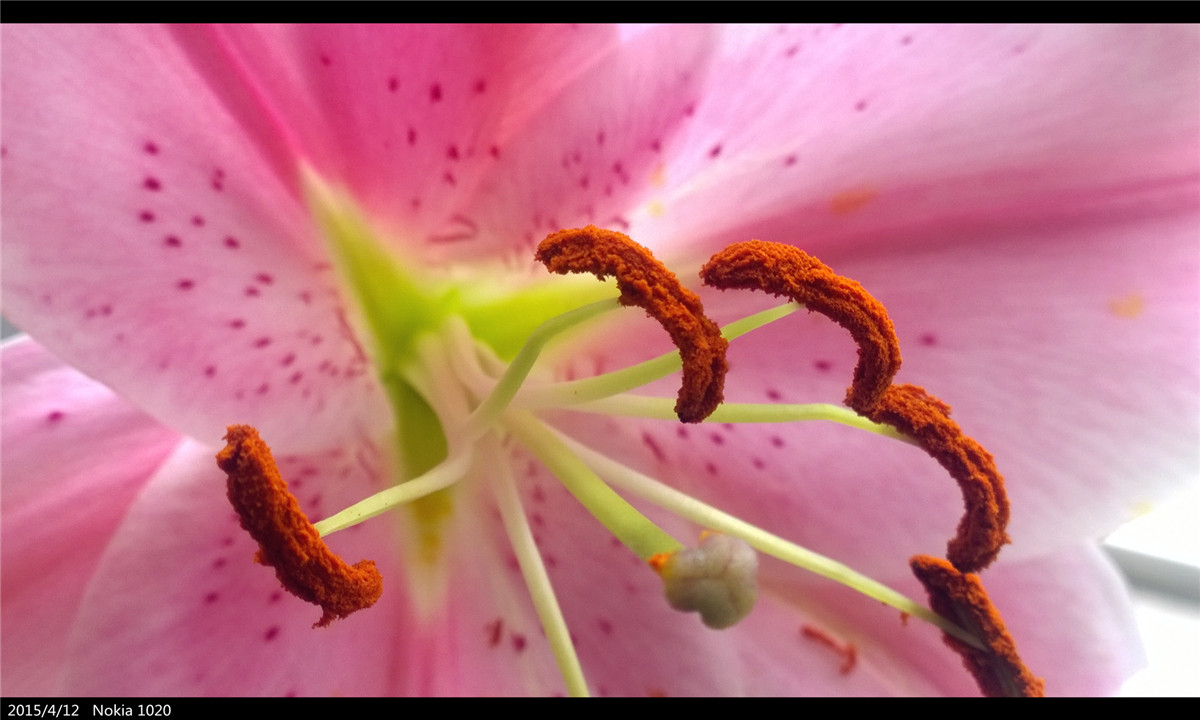 诺基亚1020   实力的体现