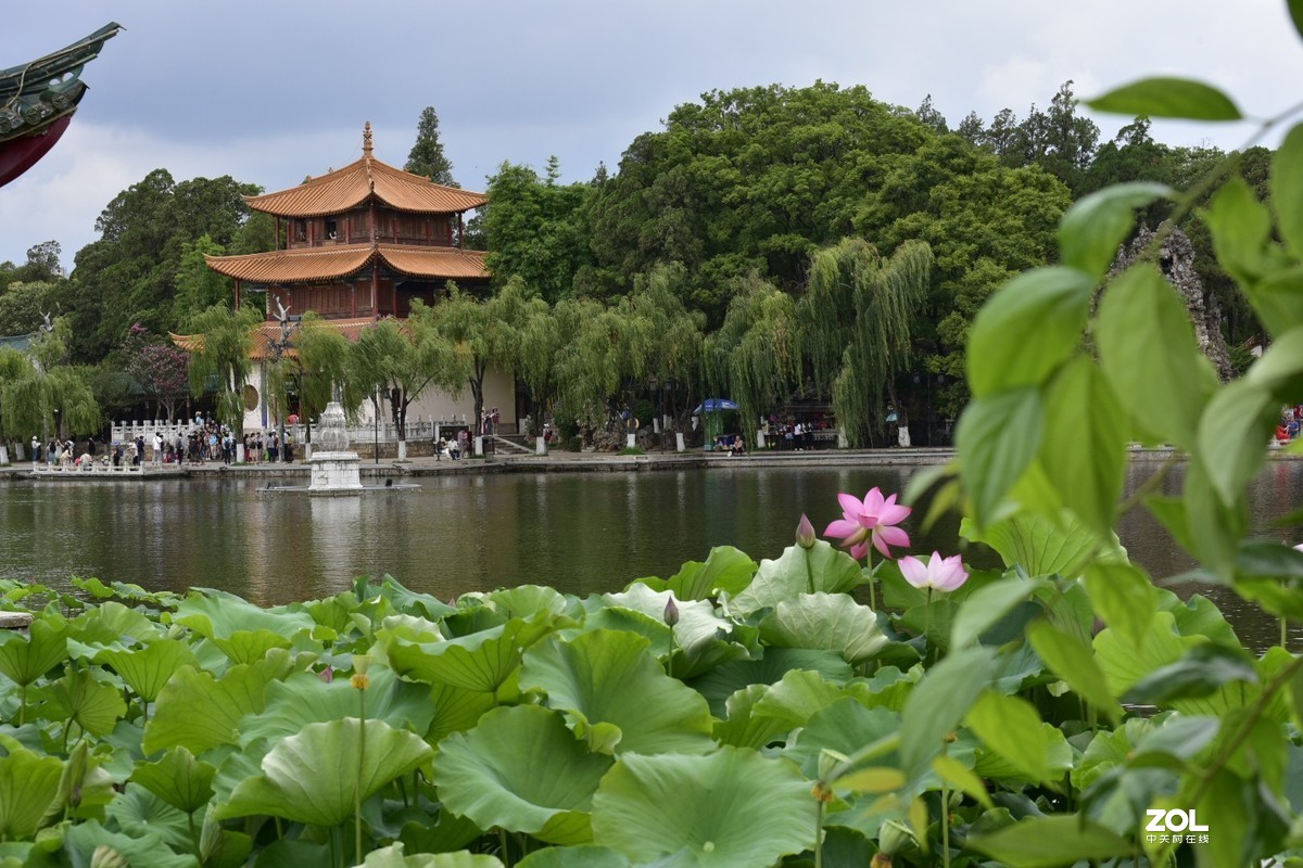 昆明-----花海【大观楼荷花展】