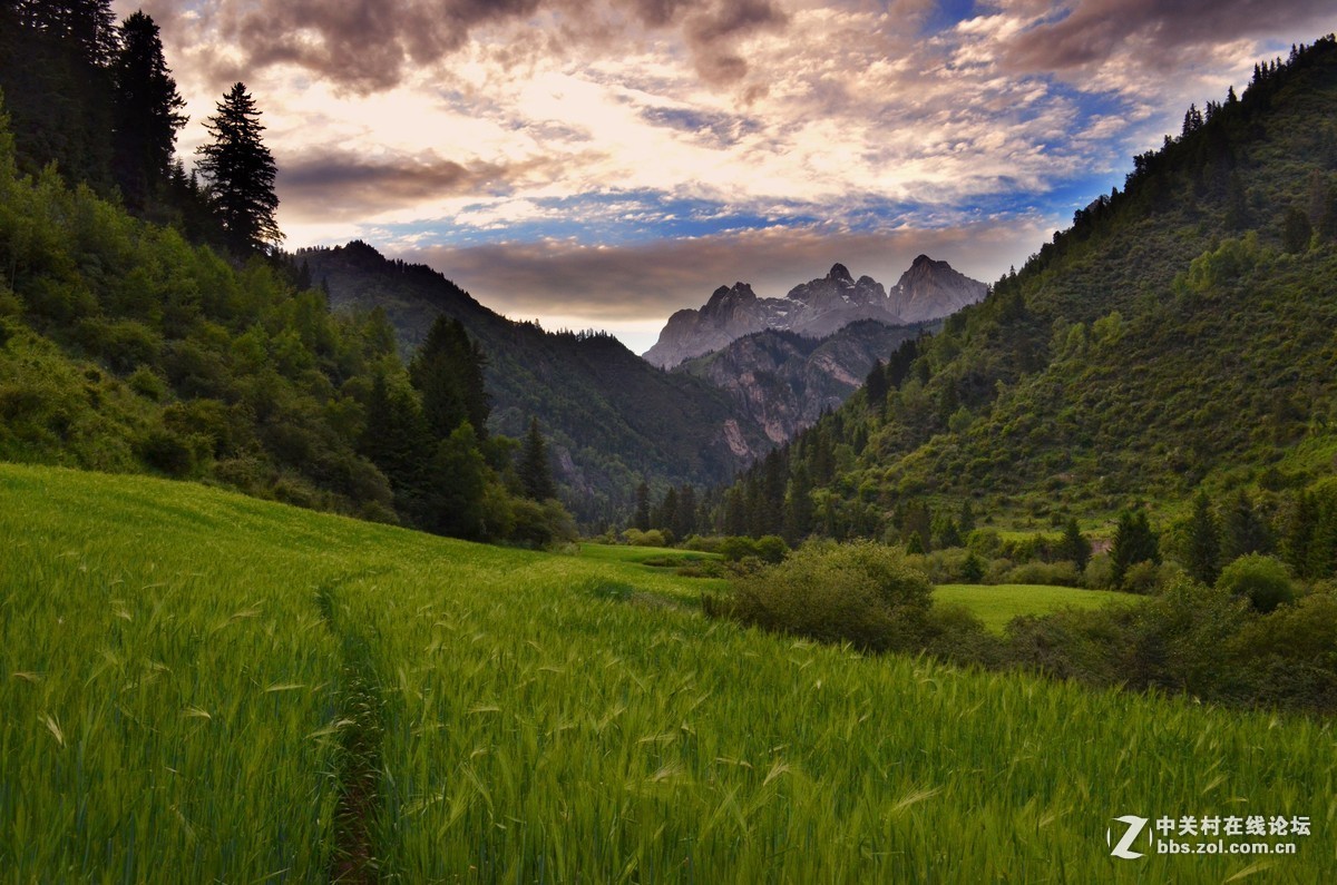 #版主坐堂#小五星空(中国)七月精品荟萃（上）风景  鸟篇