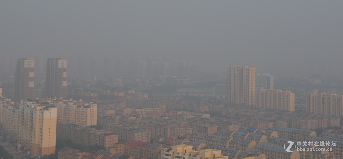 入手10天D610 24-120 f/4 套机