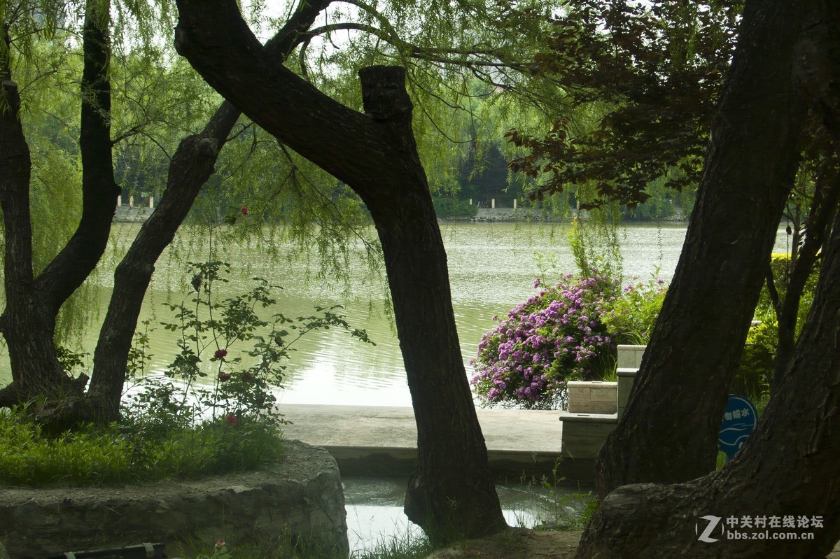 运城黄金水岸掠影