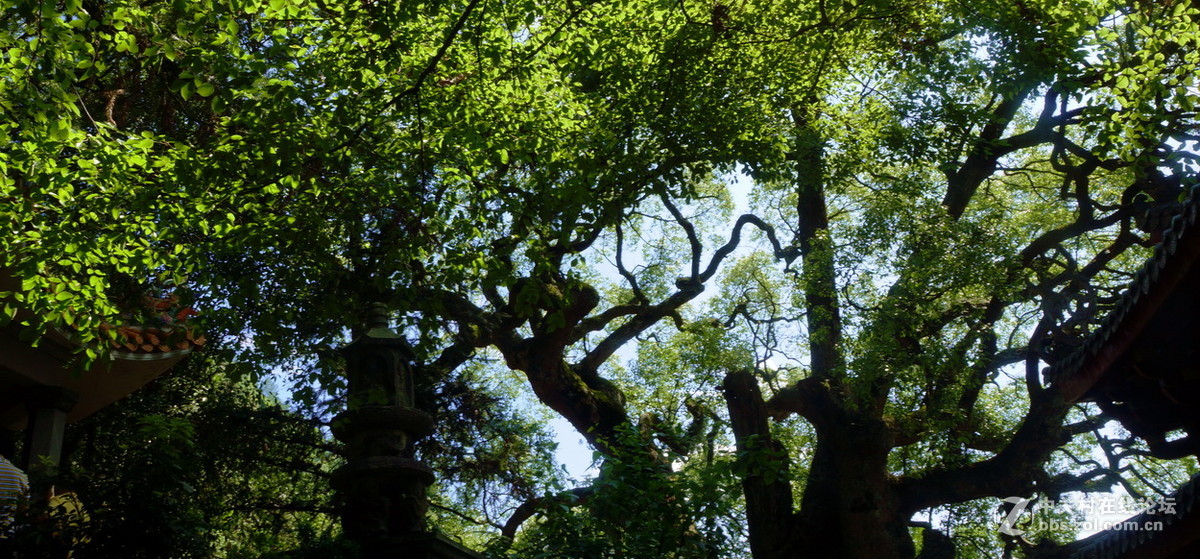 泉州安溪清水岩小景