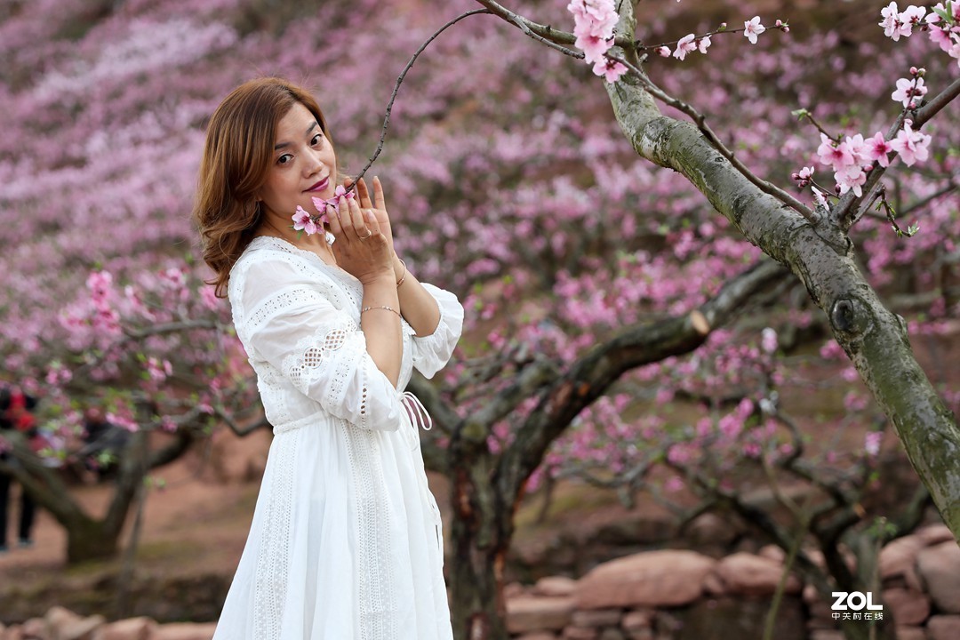 阳春三月桃花开