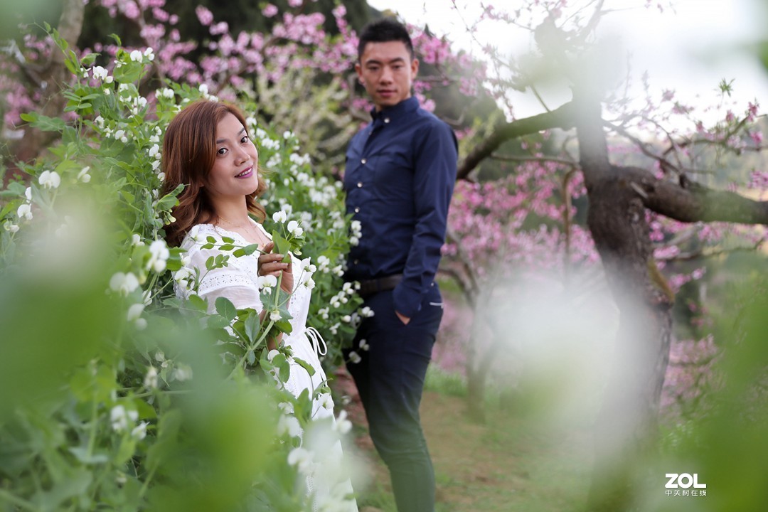 阳春三月桃花开