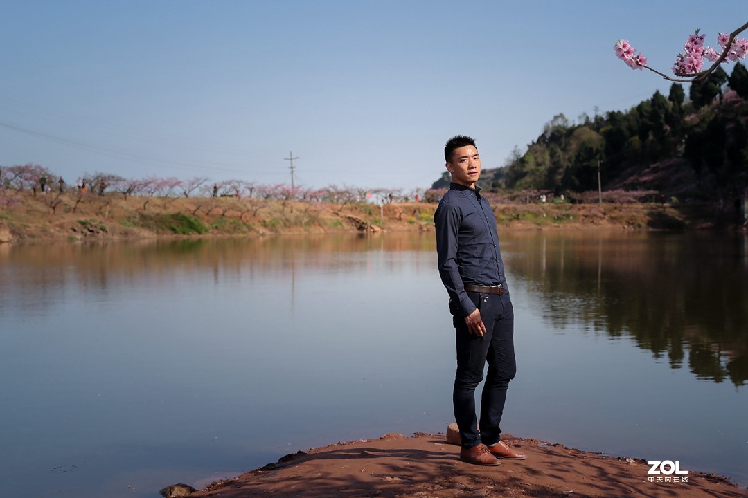 阳春三月桃花开