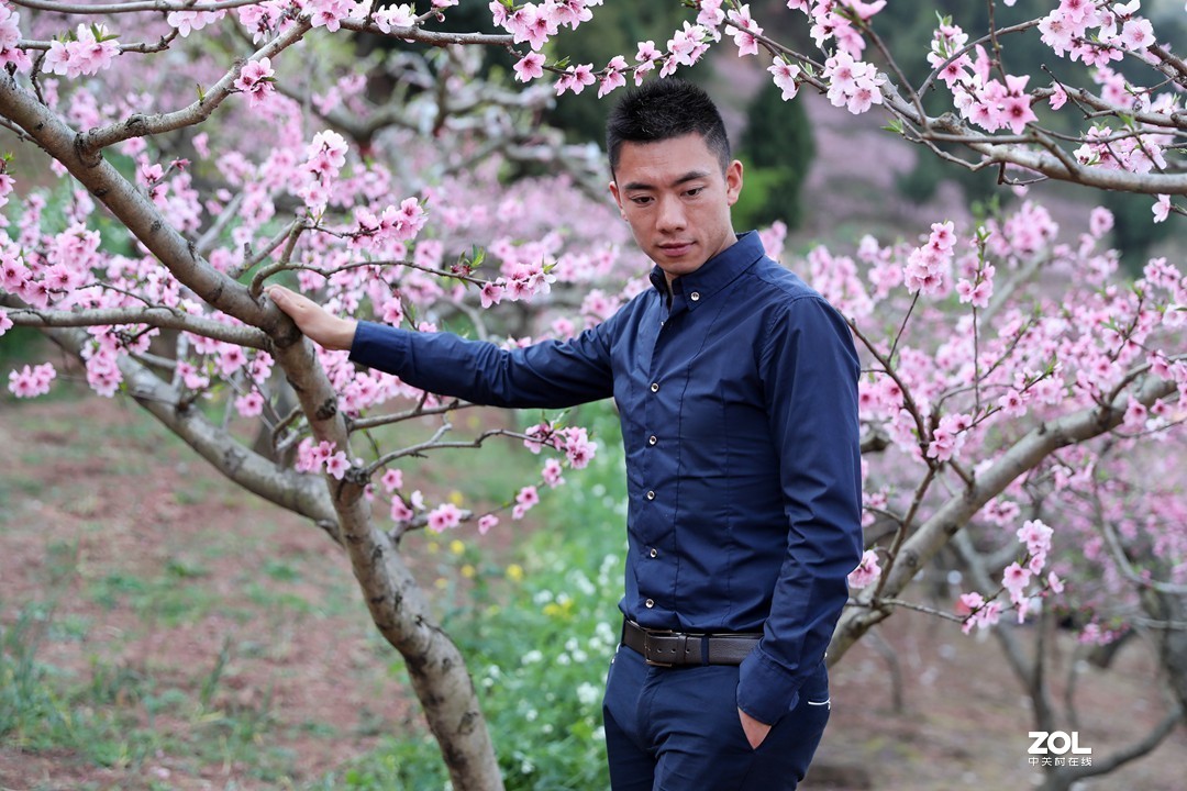 阳春三月桃花开