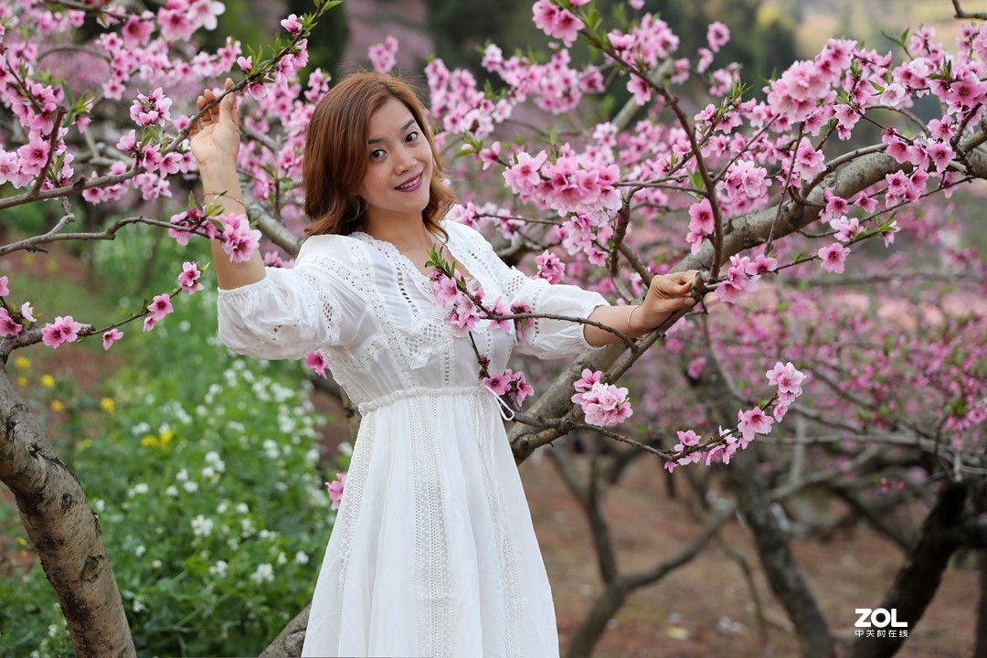 阳春三月桃花开