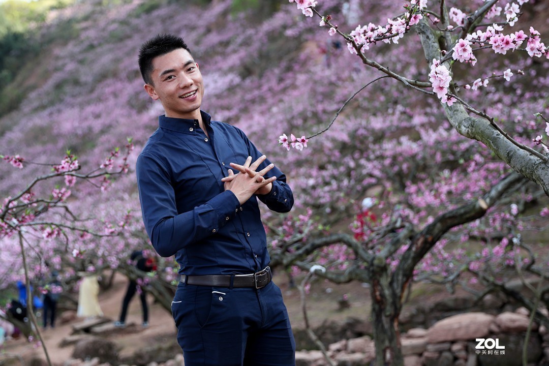 阳春三月桃花开