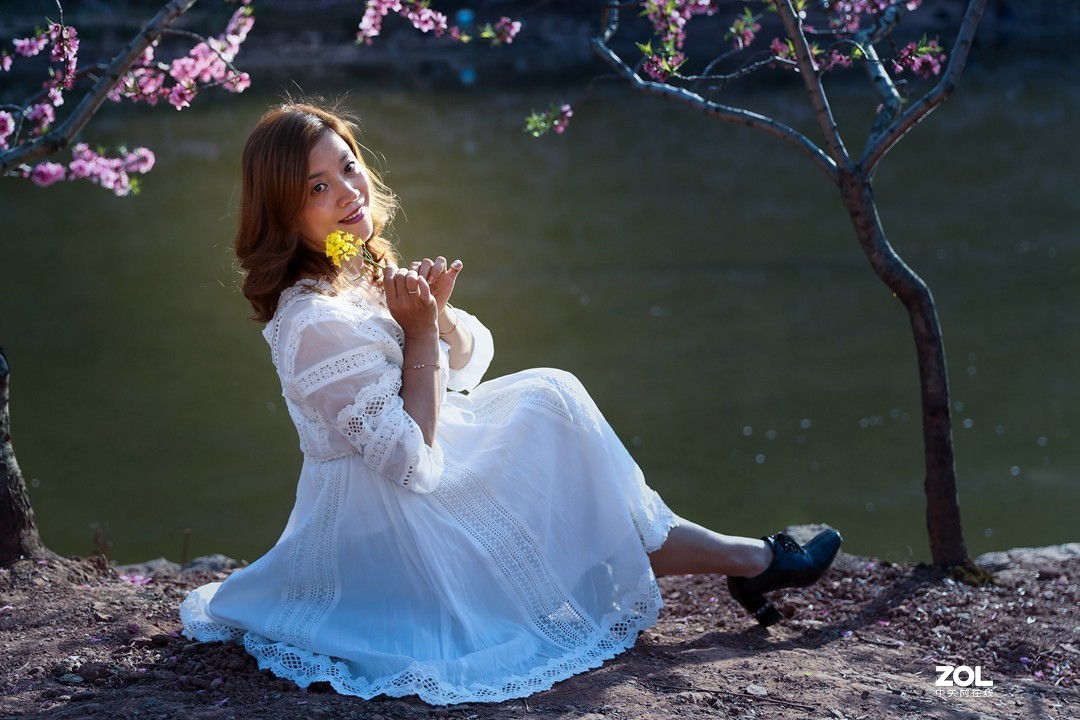 阳春三月桃花开