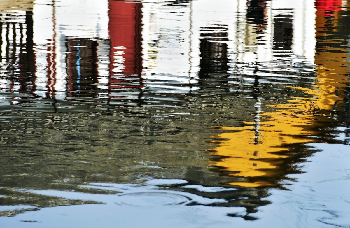 《镜头下的沪上春天》