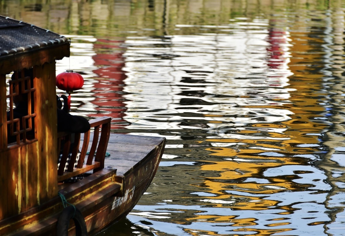 《镜头下的沪上春天》