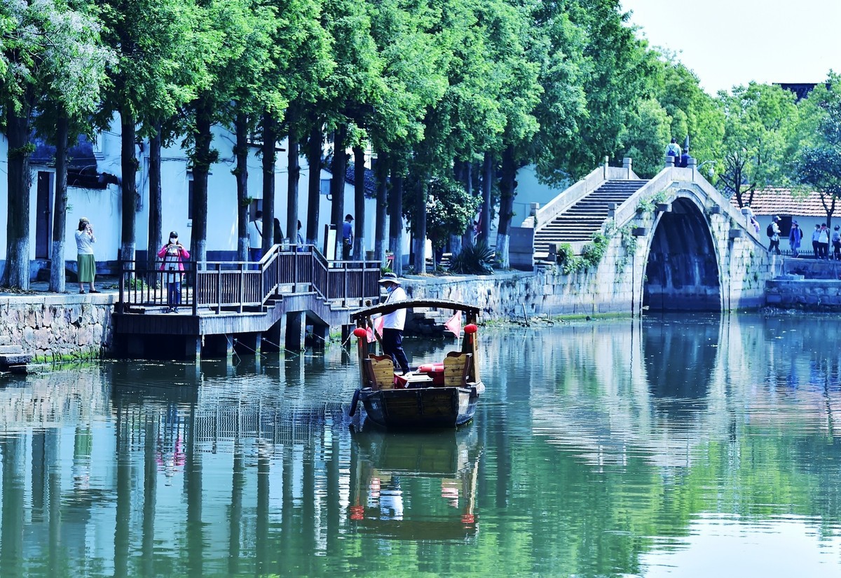 《镜头下的沪上春天》