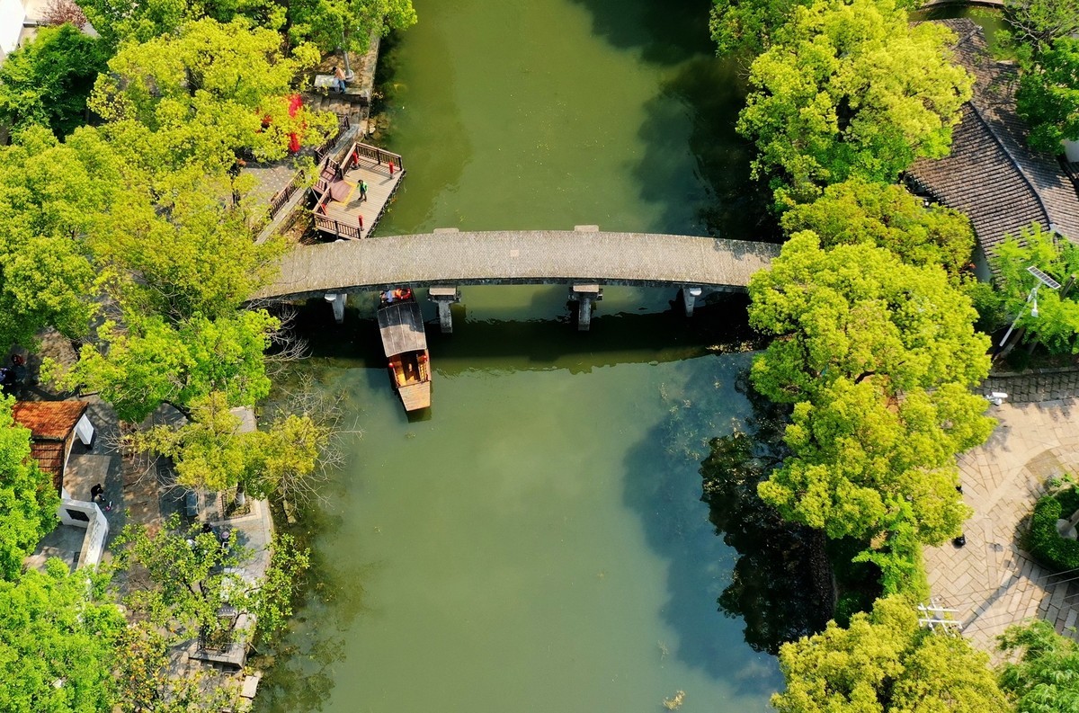 《镜头下的沪上春天》