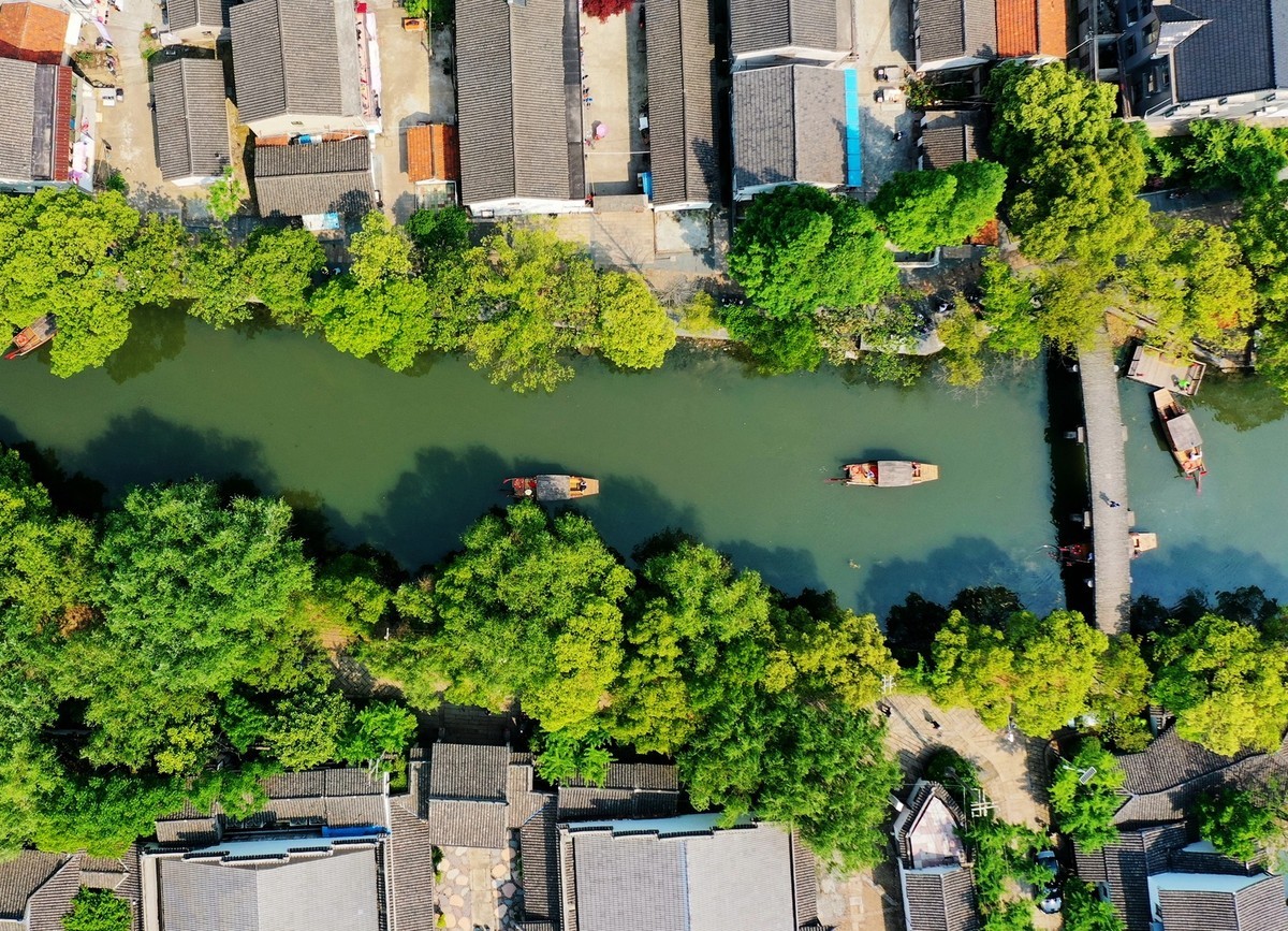 《镜头下的沪上春天》
