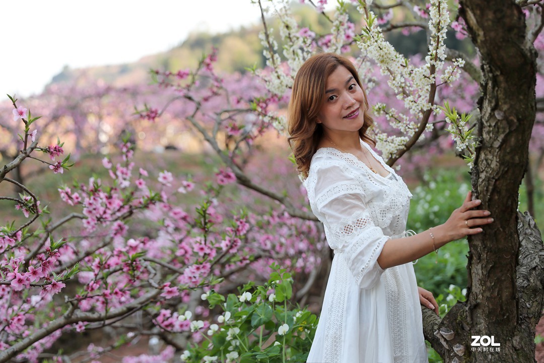 阳春三月桃花开