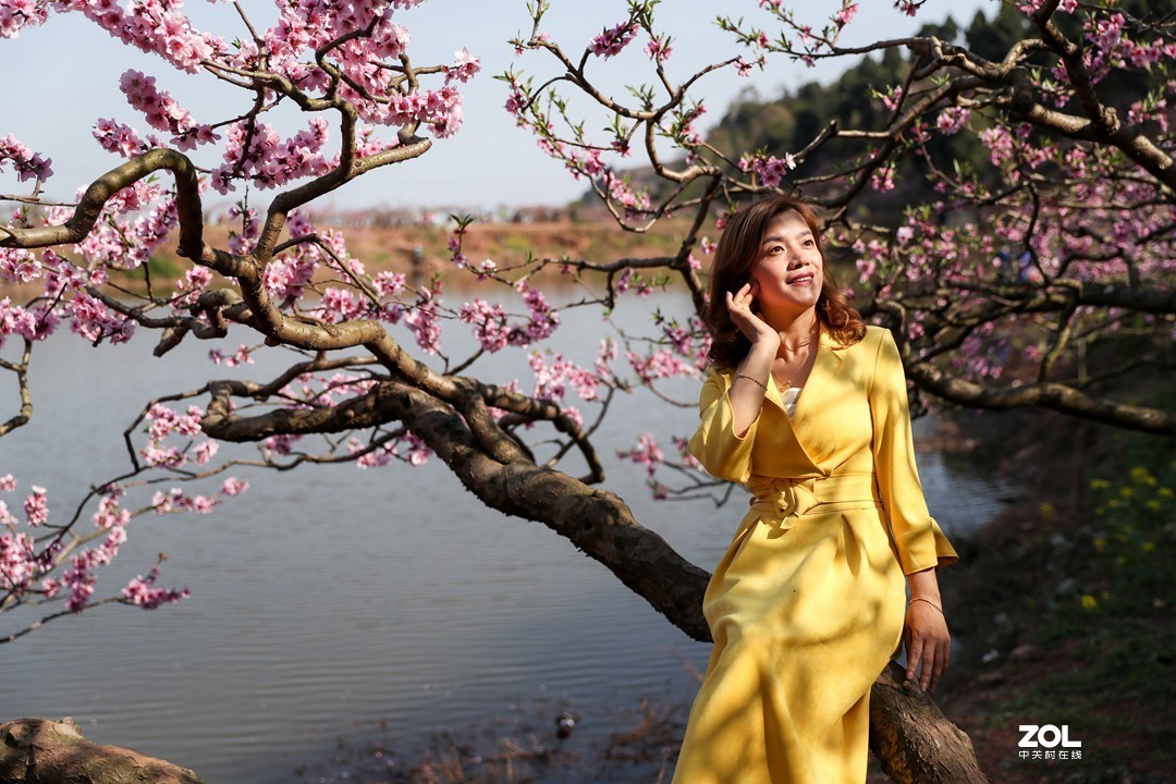 阳春三月桃花开