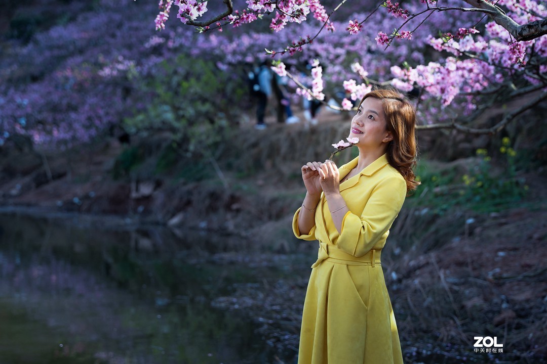 阳春三月桃花开