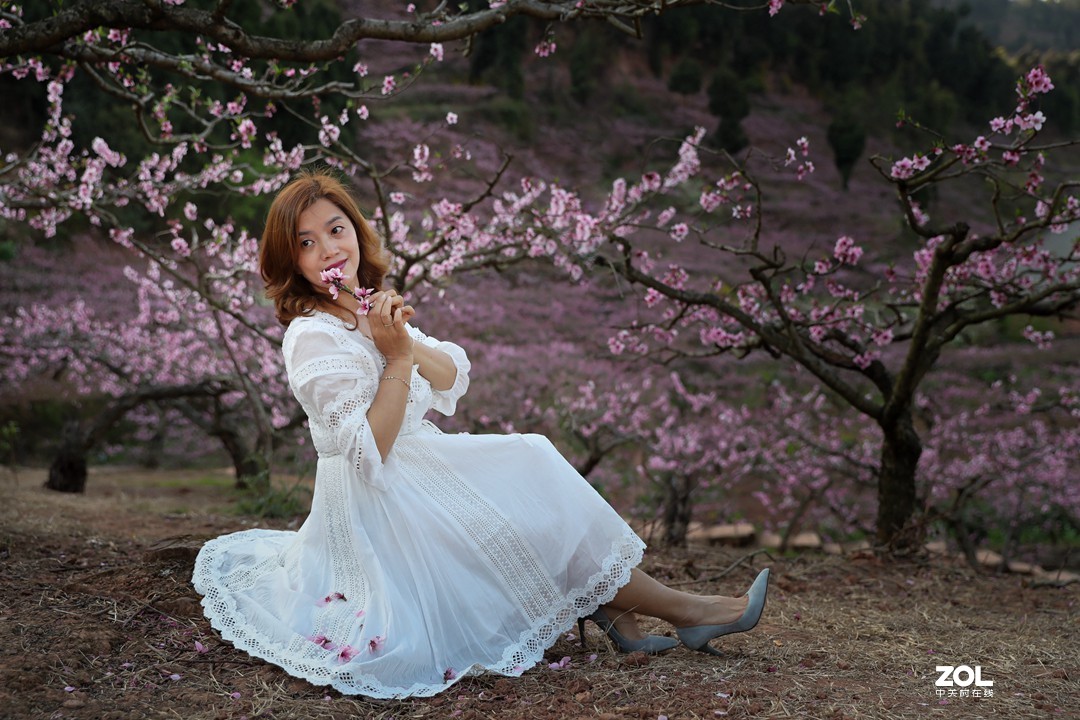 阳春三月桃花开