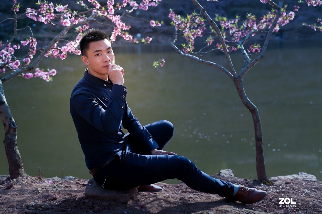 阳春三月桃花开