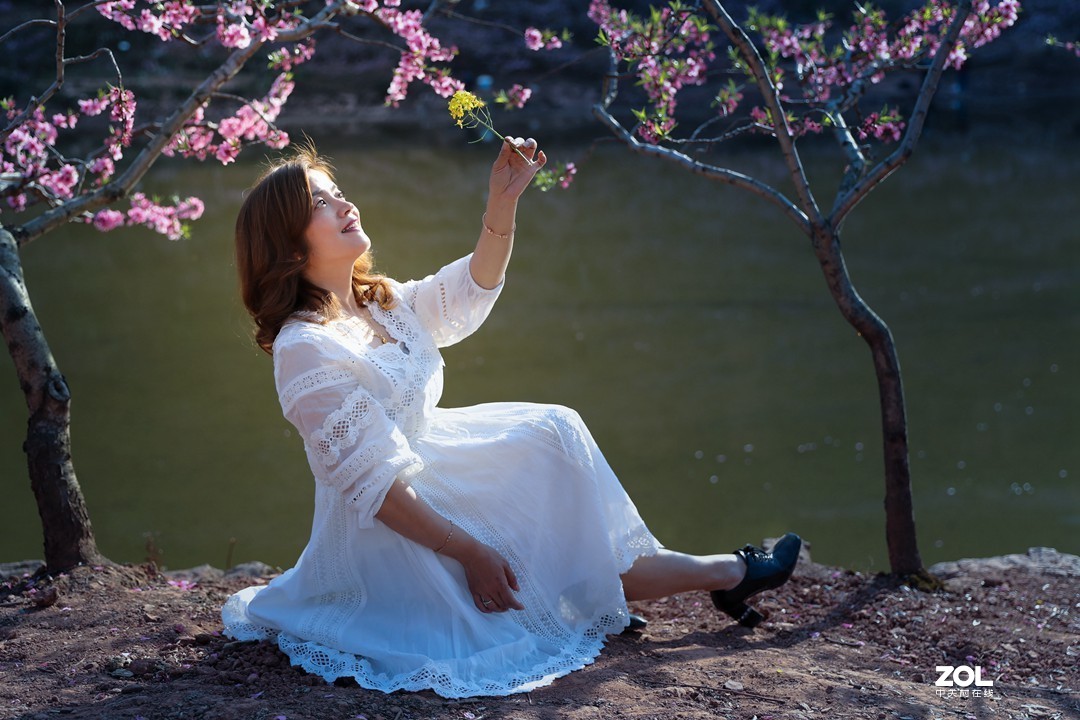 阳春三月桃花开