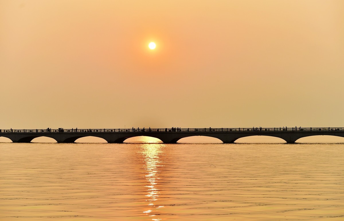 《镜头下的沪上春天》