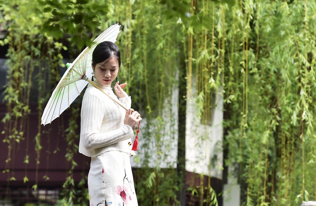 《镜头下的沪上春天》