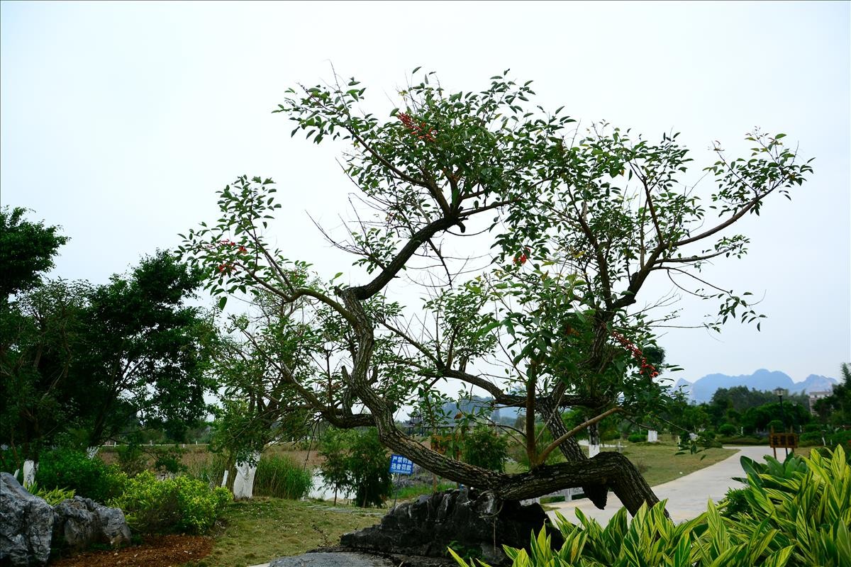 按好运即到老师的办法给天空换景。