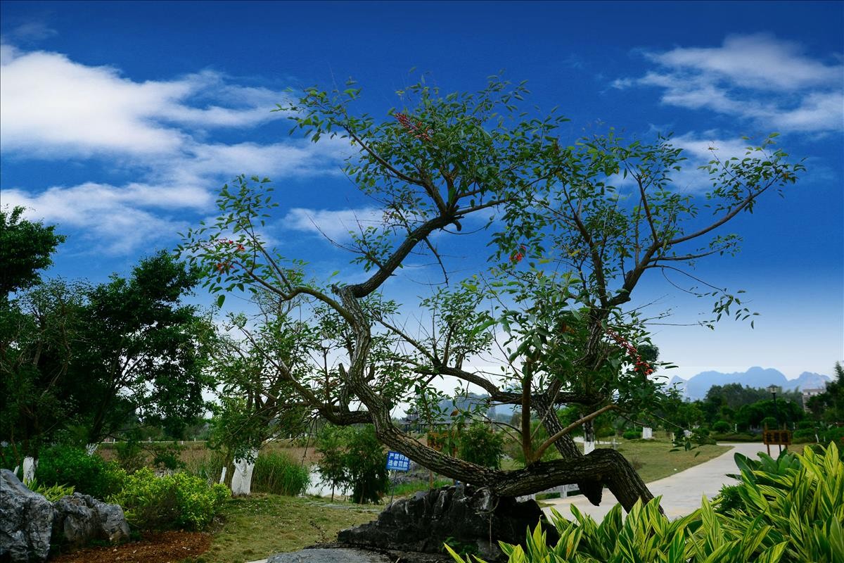 按好运即到老师的办法给天空换景。