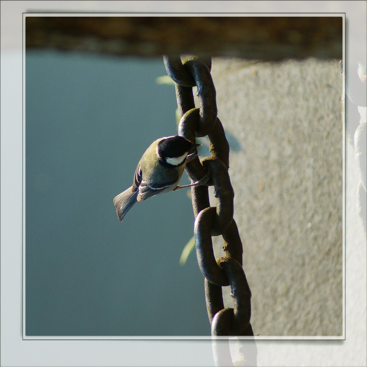 〖 静 悄 悄 的 池 塘 〗